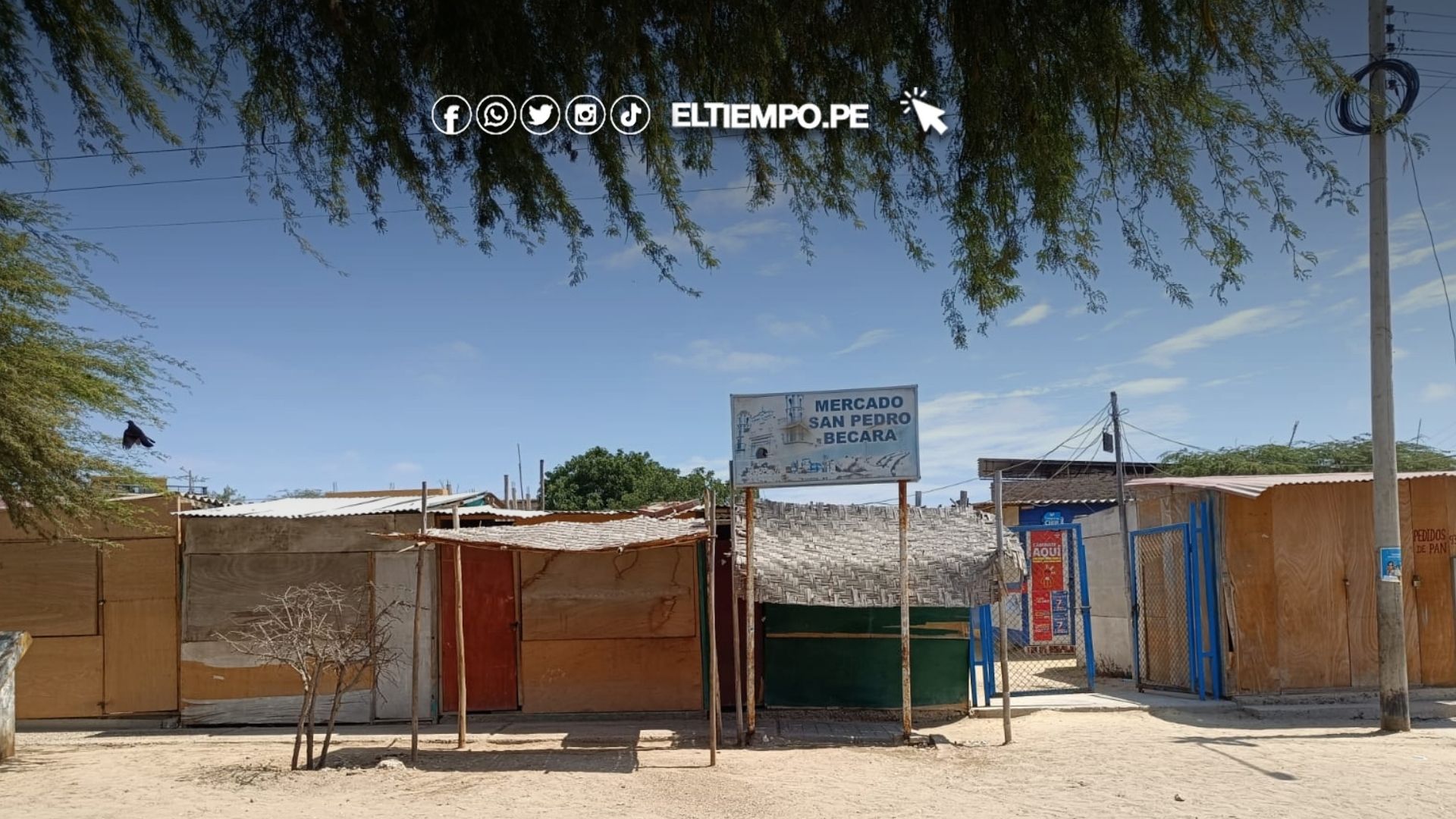 Robo en mercado de vice