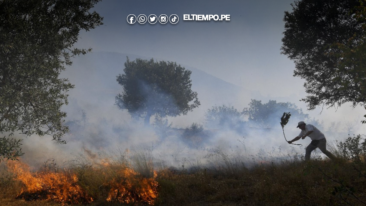 Un muerto y 500 turistas evacuados por incendios en Albania Un muerto y 500 turistas evacuados por incendios en Albania