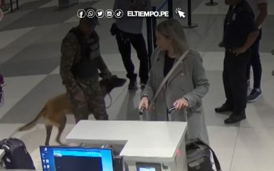 Nuevo aeropuerto Jorge Chávez: 24 burriers detenidos en sus primeros tres meses de operación