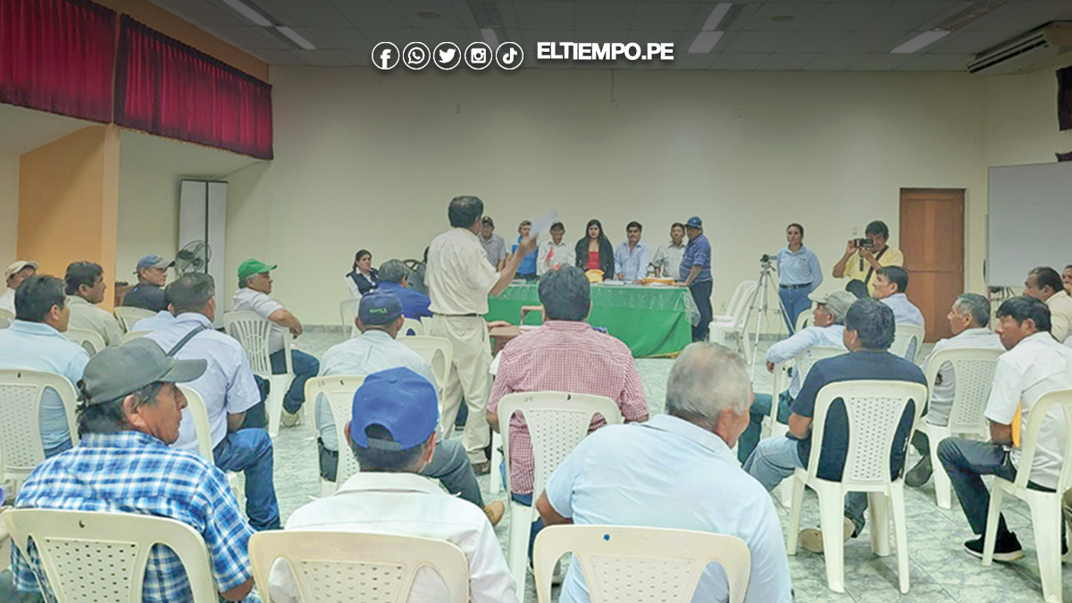 ¡Algodón al Precio de la Papa!: Los Empresarios de Gamarra y su 'Generosa' Oferta