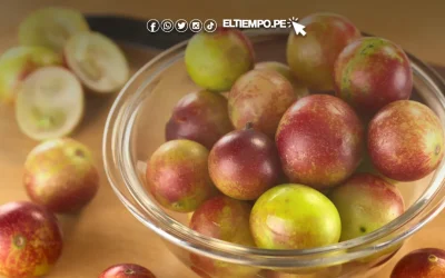 Descubre los 10 principales beneficios del camu camu