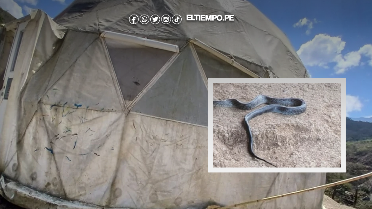 Escolares del colegio Ciro Alegría Bazán Escolares del colegio Ciro Alegría Bazán