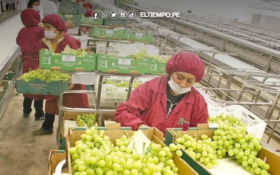 Exportaciones en el país generan más de 1.5 millones de empleos: Piura reporta un crecimiento de 0.6%