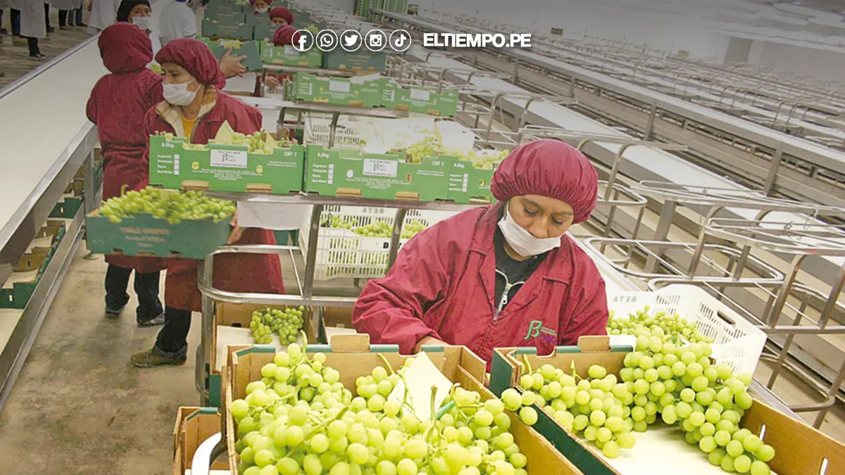 exportaciones piuranas exportaciones piuranas