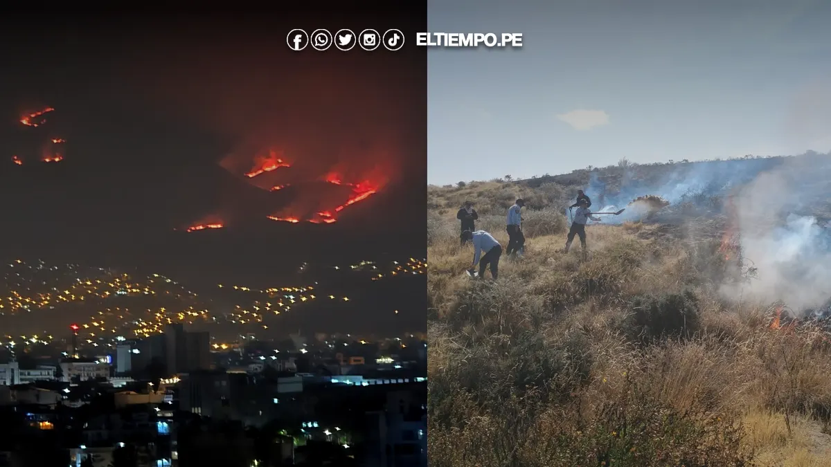 Incendio en el Misti sigue activo y arrasó con 48 hectáreas de áreas naturales