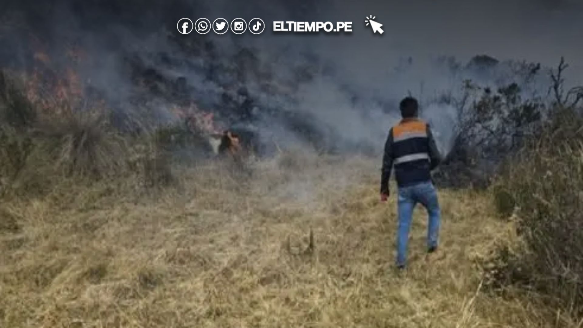 Incendios Forestales en Perú