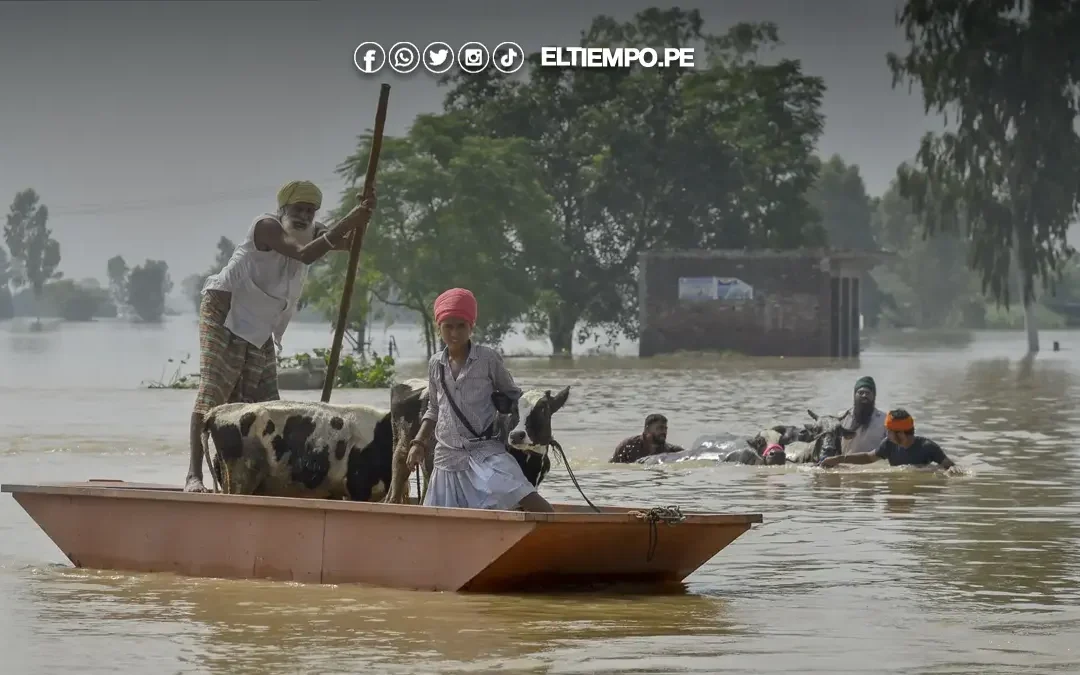 Al menos 15 muertos y 16 desaparecidos por lluvias torrenciales en India
