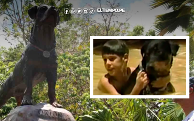 ¿Quién fue Orión, el perro héroe que salvó 37 vidas en la tragedia de Vargas?