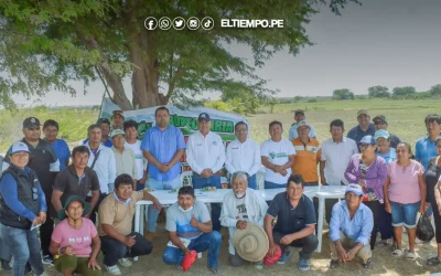 Productores de Sechura amplían cultivo de frejol caupí con miras a exportación