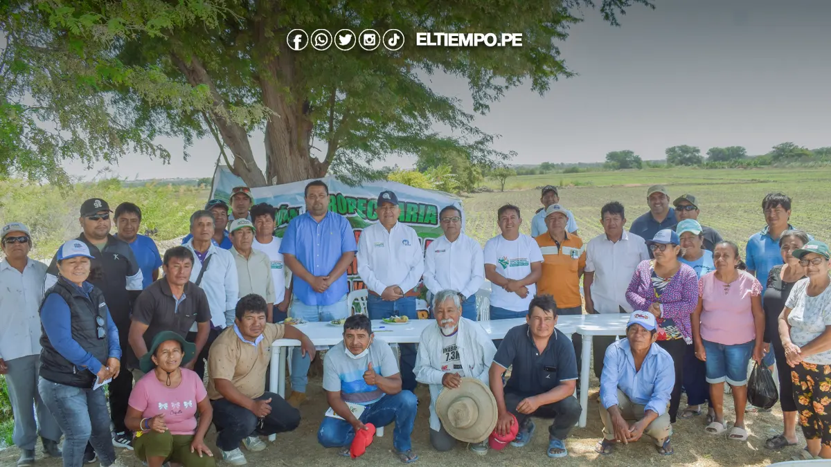 Productores de Sechura amplían cultivo de frejol caupí con miras a exportación