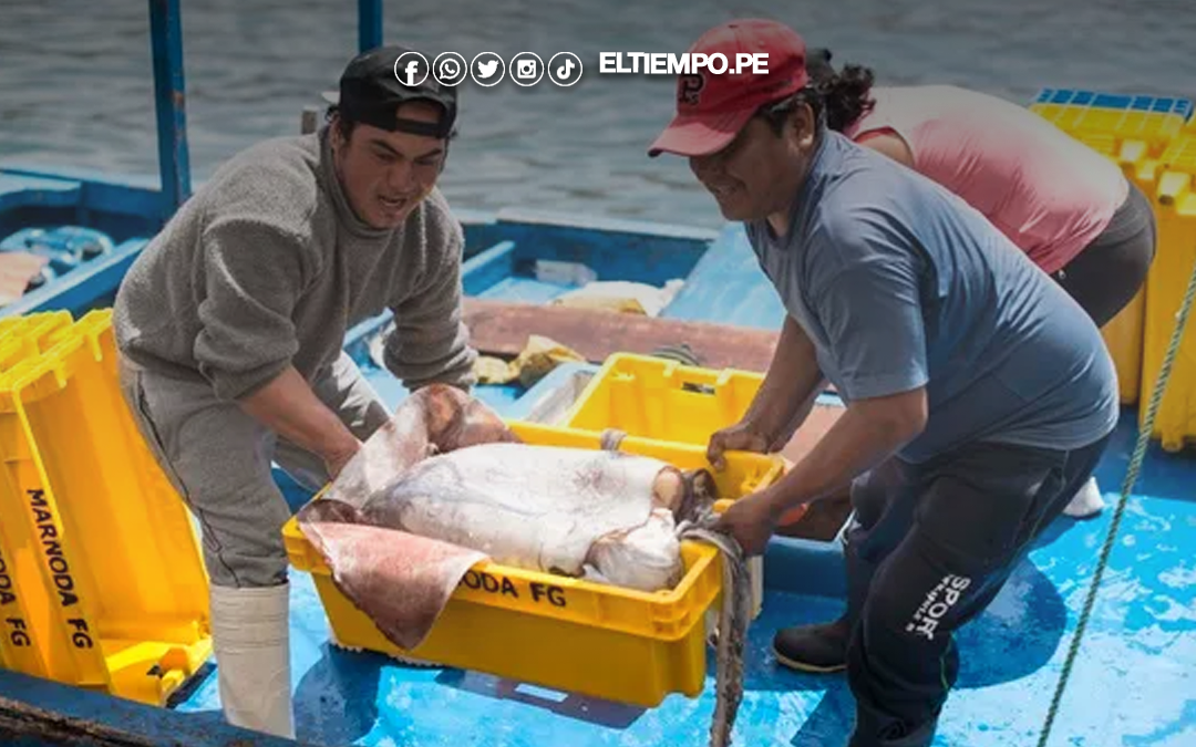 ¿Bono paro pescadores octubre 2025? Esto dice el Gobierno de Dina Bolaurte