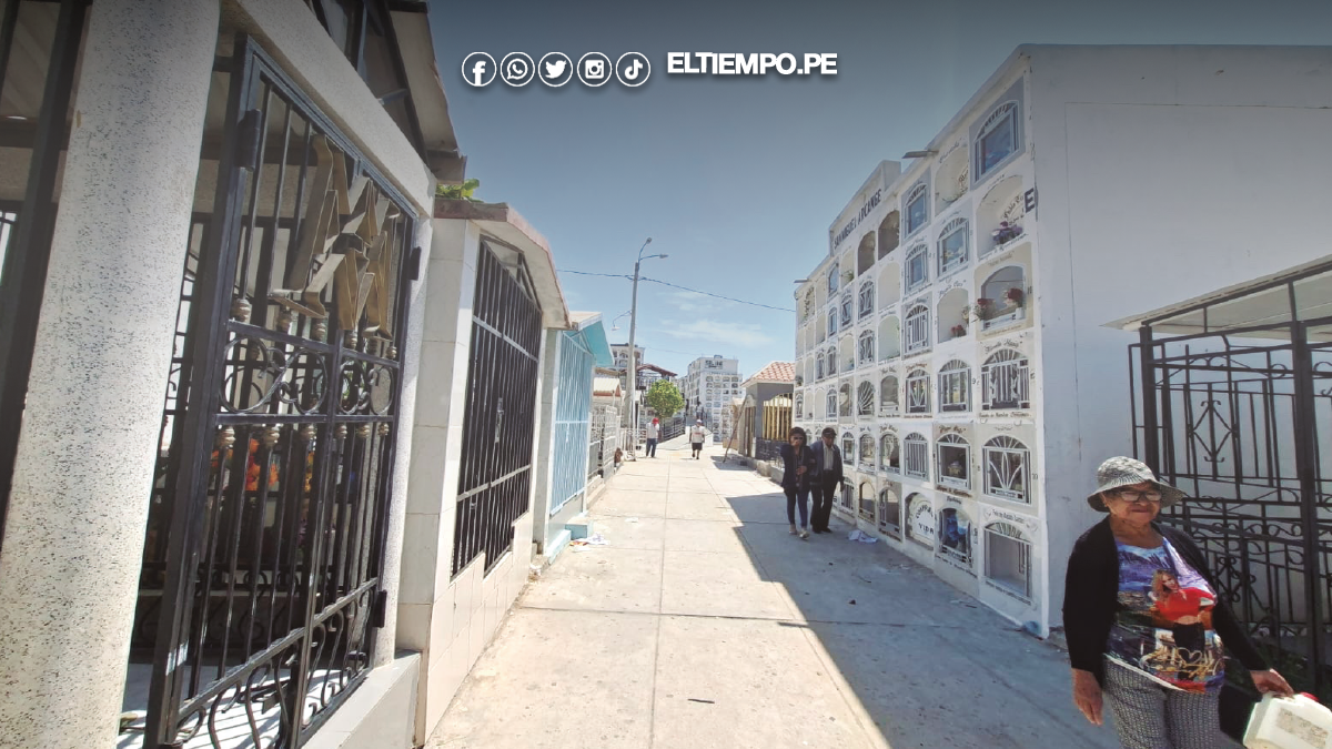 Hallan larvas de dengue en cementerio San José