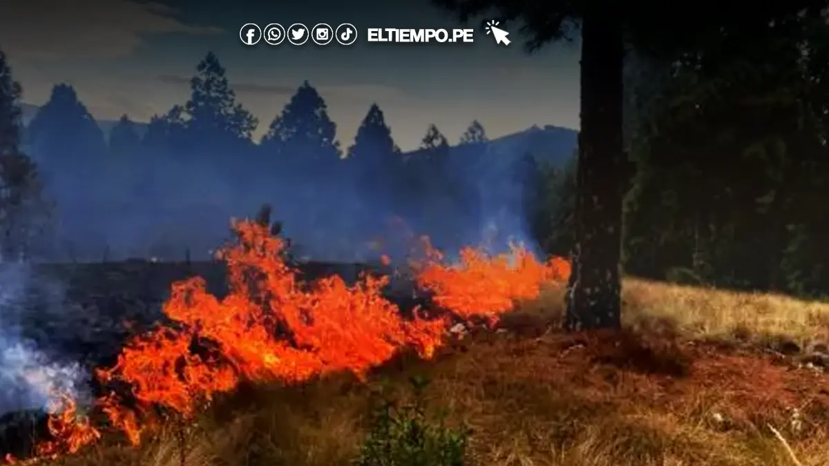 Feriado de mañana 8 de octubre: conoce los próximos feriados del 2025 en Perú