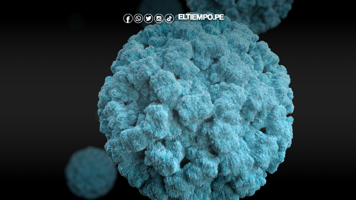 Llega a Miami un crucero de Royal Caribbean con casi 100 infectados de norovirus