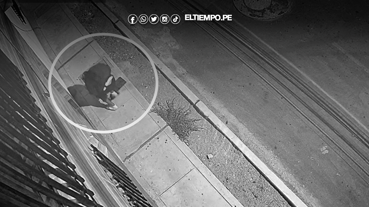 más de 45 medidores de agua fueron robados más de 45 medidores de agua fueron robados