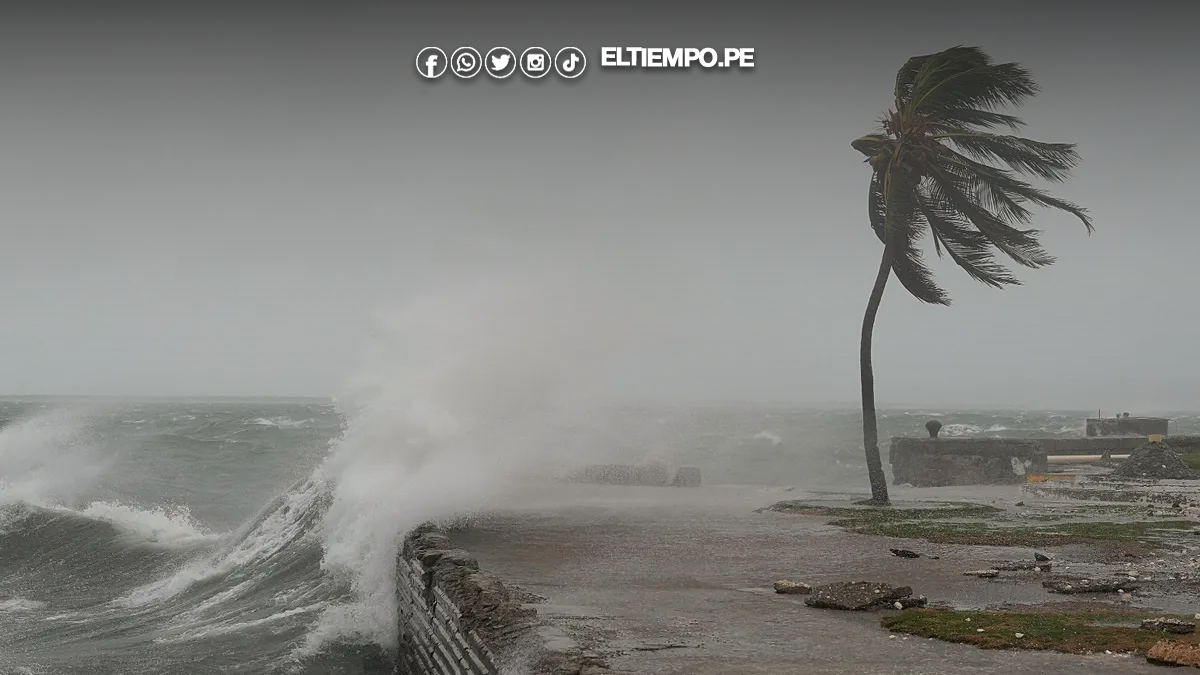 Peruanos atrapados en Jamaica por el huracán Melissa denuncian abandono del Gobierno y piden ayuda urgente