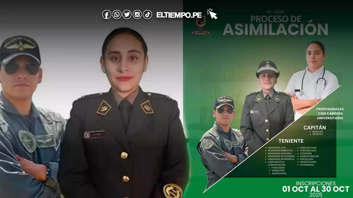 PROCESO DE ASIMILACIÓN 2026 PARA PROFESIONALES