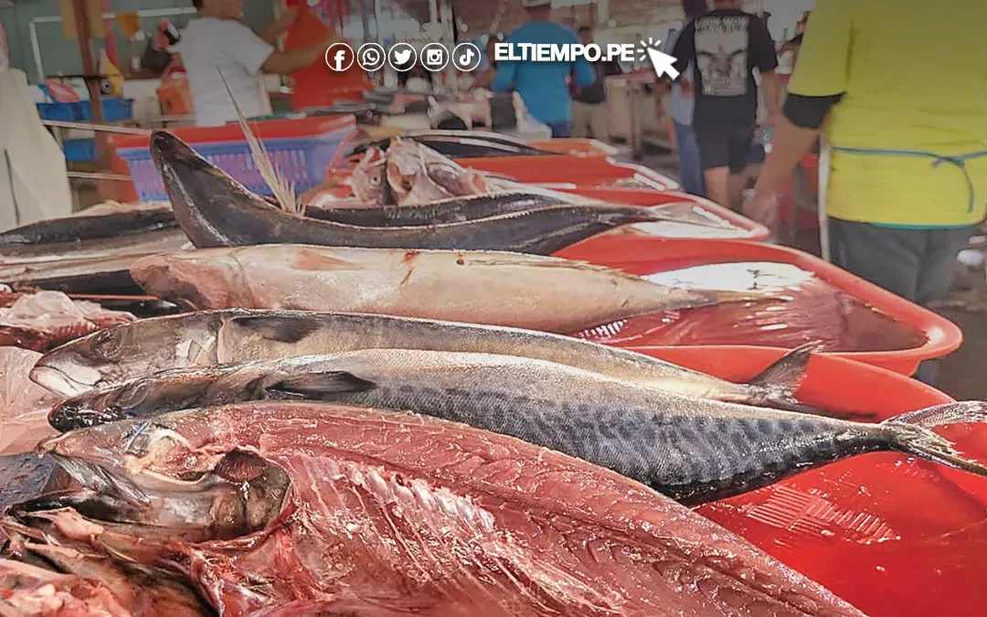 Precio del pescado sigue elevado en mercados de Piura