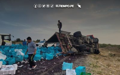 Tráiler cargado con arándanos se vuelca en la carretera Piura–Tambogrande y causa congestión vehicular