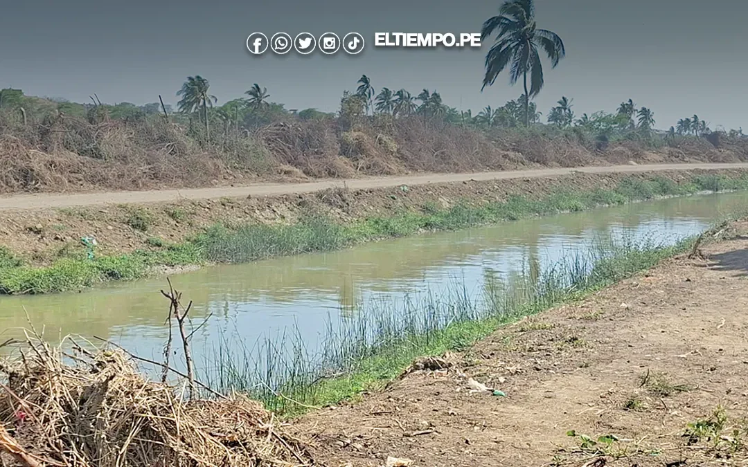 Firmarán contrato para revestir canal Checa