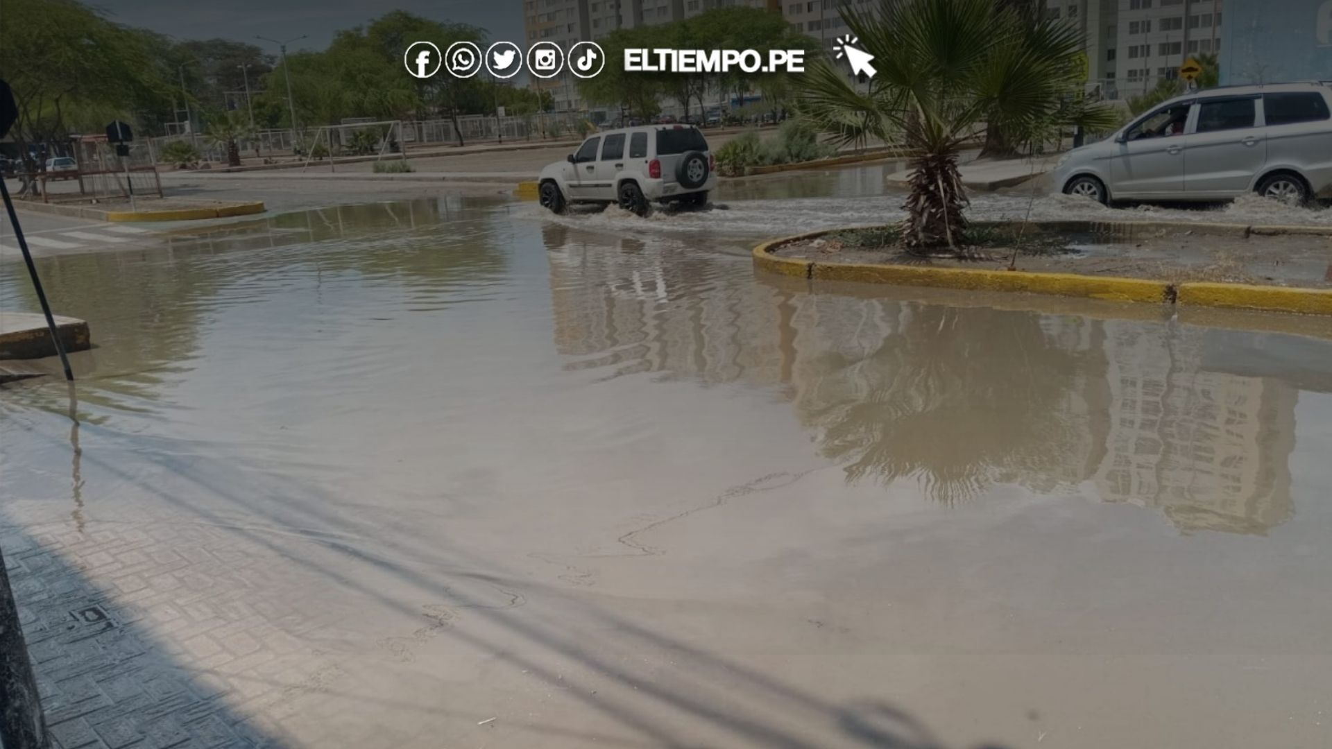 COLEGIO DE ARQUITECTOS DE PIURA