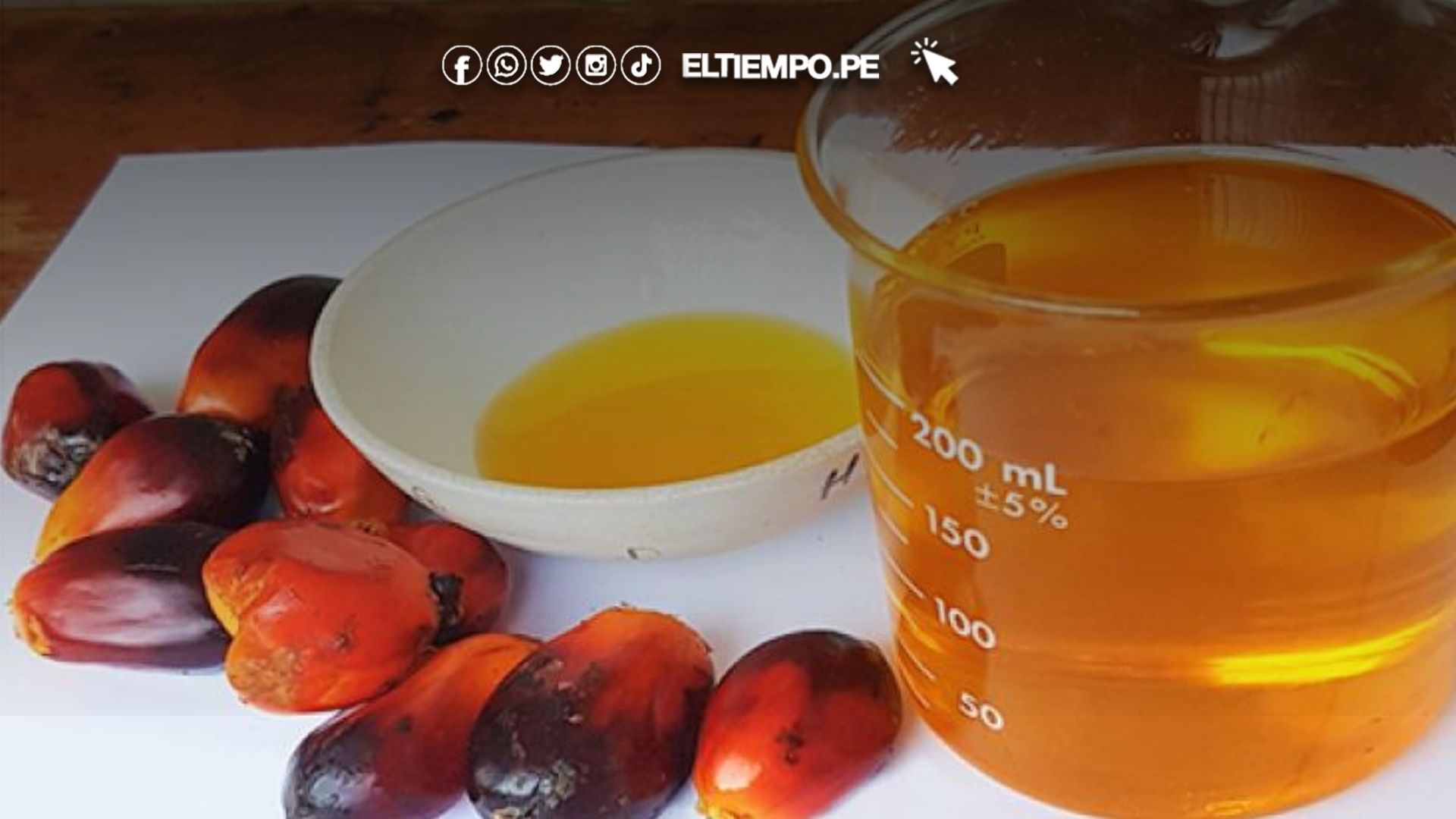 Exportaciones aceite de palma