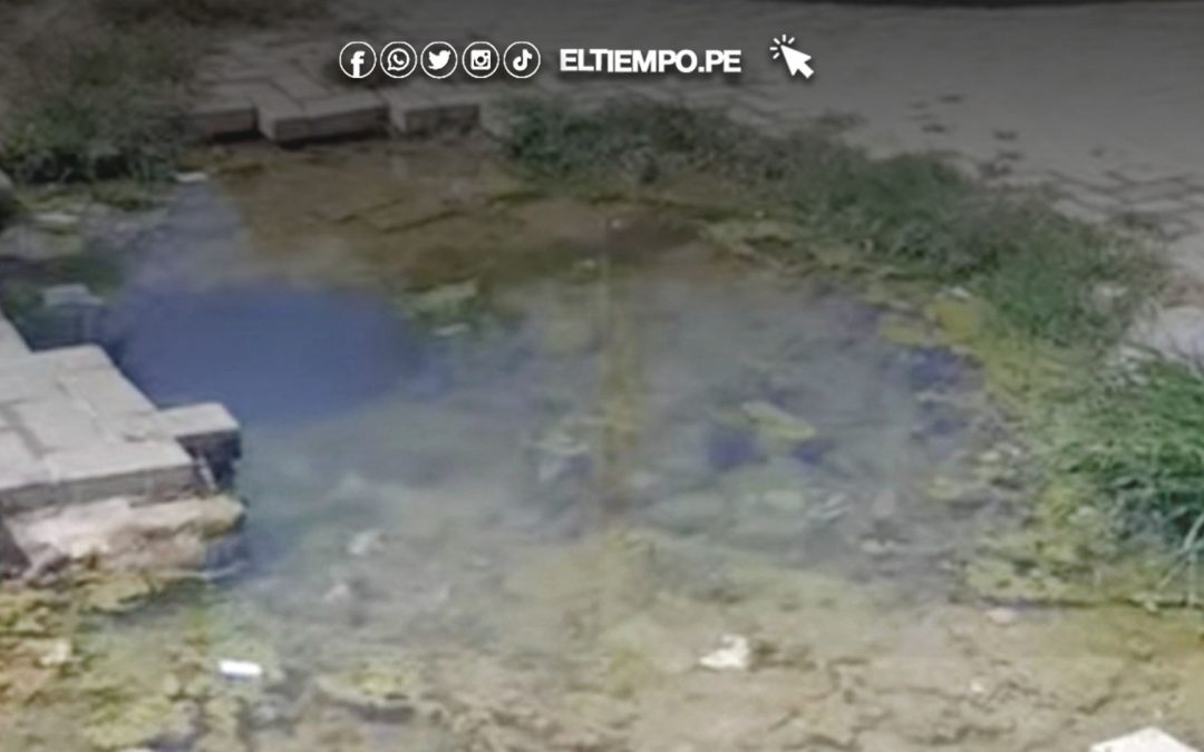 Filtración de agua afecta a familias en el A. H. Jorge Basadre de Talara