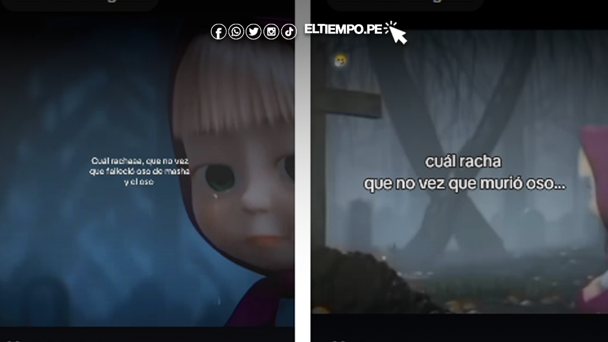 Oso murió Oso murió