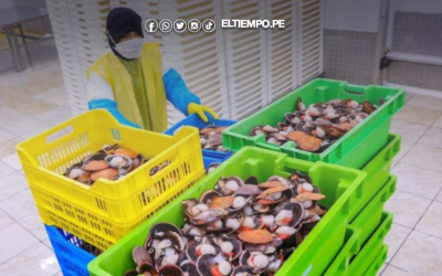 Otorgan más de S/ 39 millones en créditos a maricultores de Sechura y amplía fondo para nuevas solicitudes