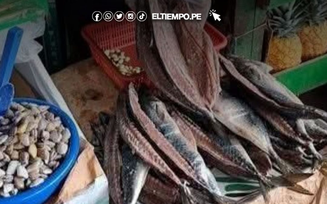 Precio de la caballa en Piura HOY 11 de noviembre de 2025: Consulta aquí