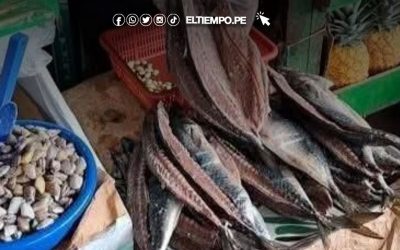 Precio de la caballa en Piura HOY 11 de noviembre de 2025: Consulta aquí