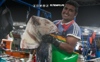 PRODUCE establece cuota complementaria de pota y autoriza reinicio de actividades extractivas desde hoy, 21 de noviembre