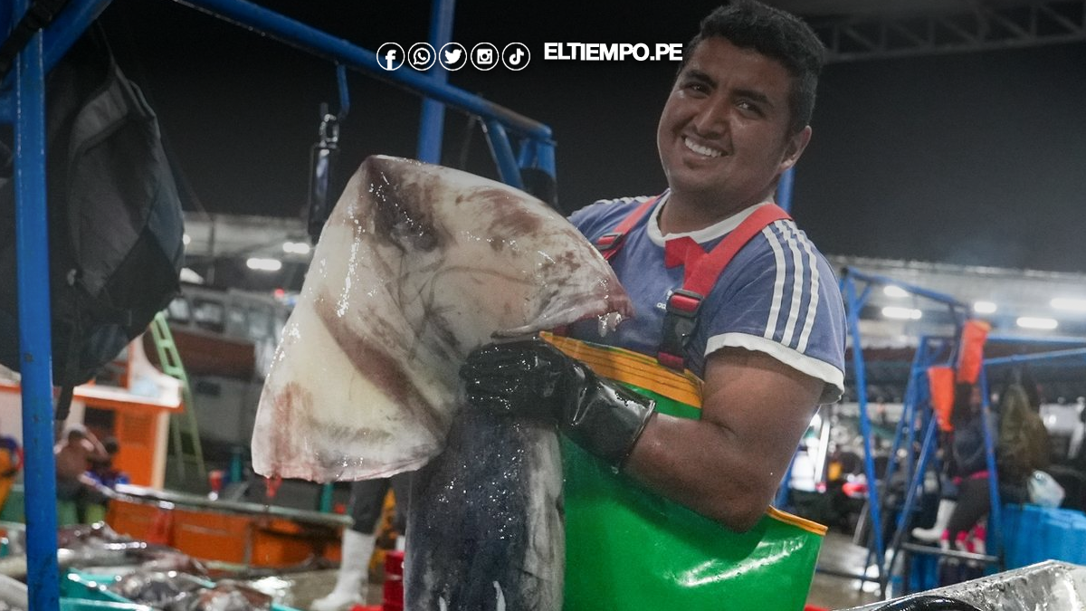 PRODUCE establece cuota complementaria de pota y autoriza reinicio de actividades extractivas desde hoy 21 de noviembre