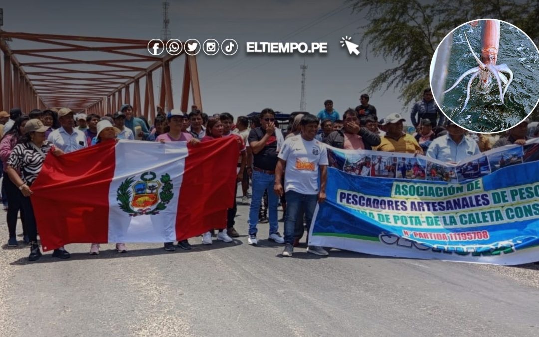 Sechura: Pescadores solicitan resultados del estudio de la pota y piden adelantar su pesca