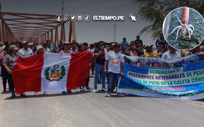 Sechura: Pescadores solicitan resultados del estudio de la pota y piden adelantar su pesca