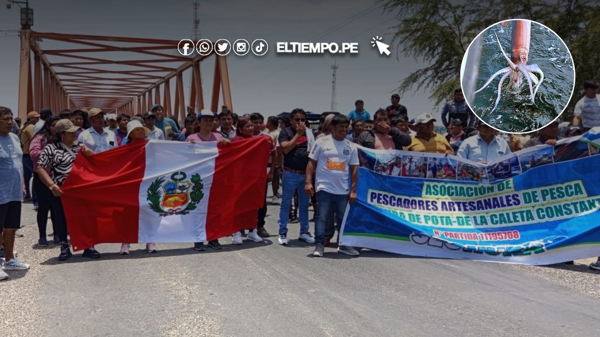 Sechura: Pescadores solicitan resultados del estudio de la pota y piden adelantar su pesca