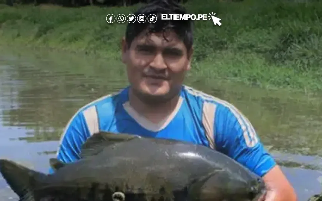 Perú: tendencia exportadora pesquera y acuícola se mantendrá al alza en el 2026