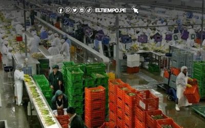 Agroexportaciones no tradicionales a China crecen 77.54% entre enero y septiembre de 2025