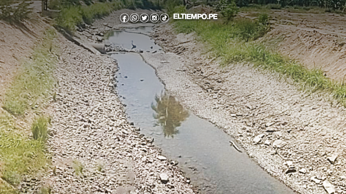 Agua alterna hasta el 20 en Querecotillo