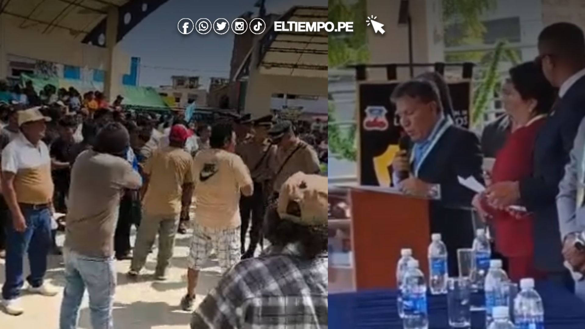 alclade de los órganos