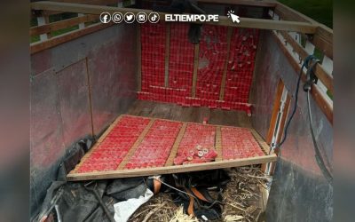 Ecuador incauta cargamento de explosivos de origen peruano que iba a ser trasladado a Colombia