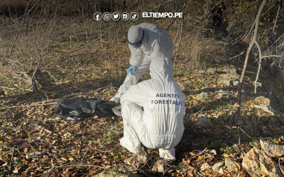 España: Confirman brote de gripe aviar en cigüeñas halladas muertas en el río Manzanares