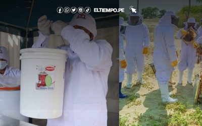 Invierten más de S/ 1 millón en proyecto de apicultura ecológica que beneficiará a centros poblados de Sechura