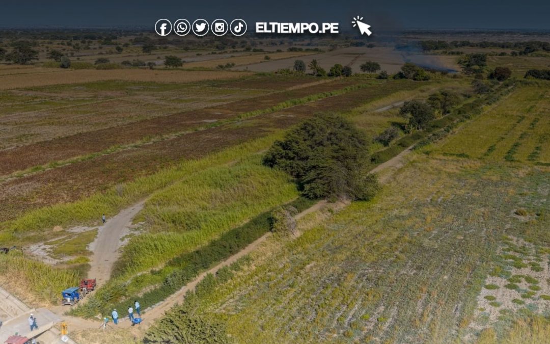 Mejorarán irrigación de zonas más alejadas en Sechura