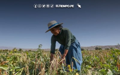 Seguro Agrícola 2025-2026 continúa activo para proteger cultivos afectados por eventos climáticos en todo el país