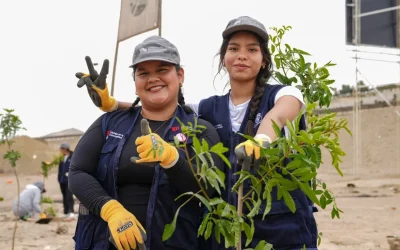UCV alcanza el puesto 3 en sostenibilidad ambiental y destaca a nivel nacional, según reporte del Minam